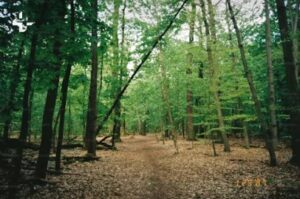 5 sorties nature à faire en famille dans l'Oise