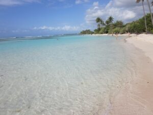 Découverte de la Guadeloupe : Le Guide Complet pour Explorer l'Île Papillon