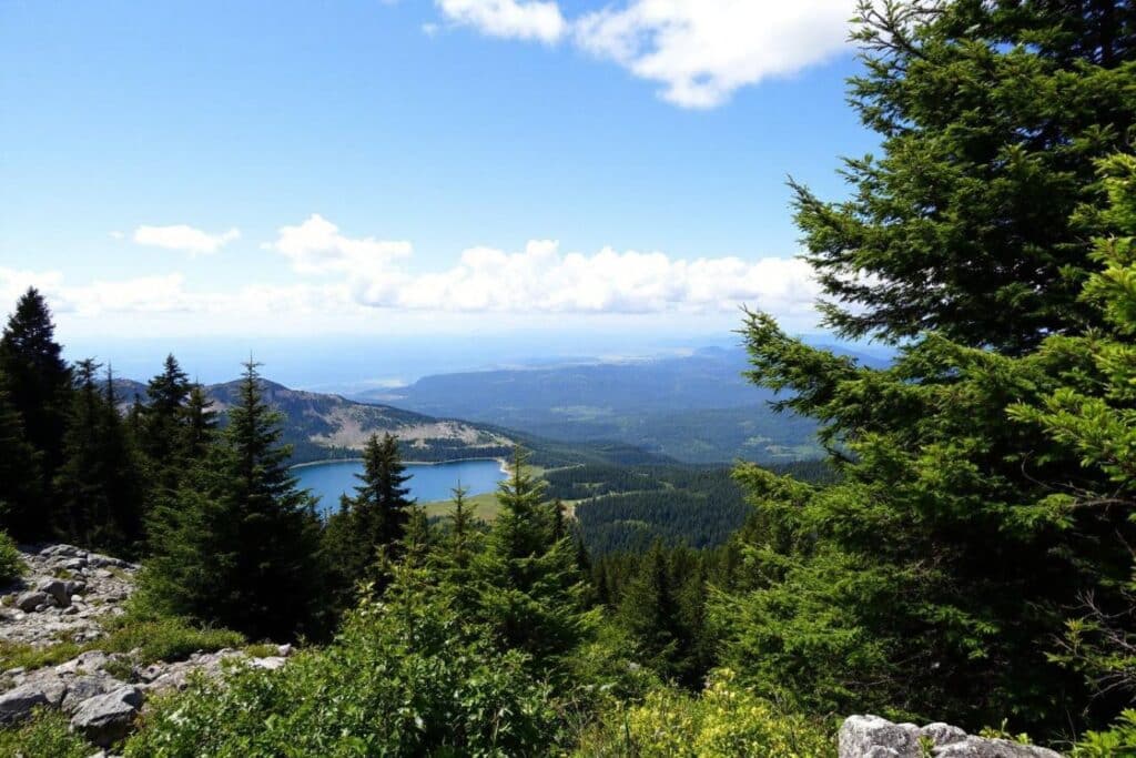 Découvrez les Sentiers Secrets du Mont Fujien Français : Aventure et Sérénité Garanties